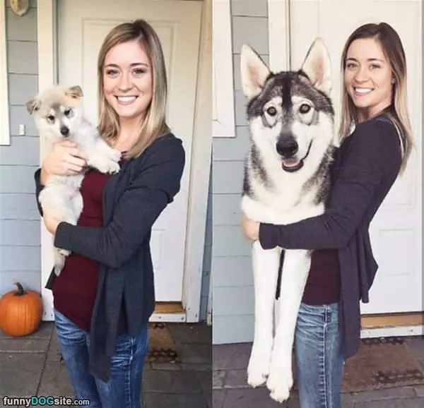 My Puppy Grew Up A Little