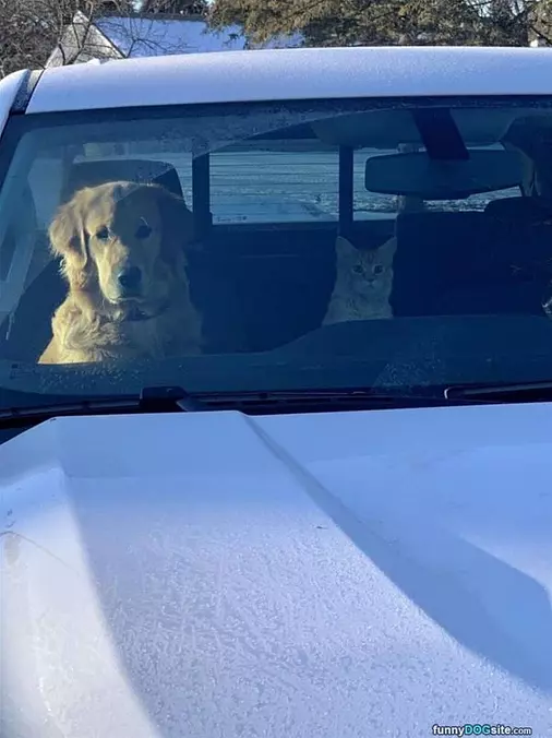 Going For A Ride
