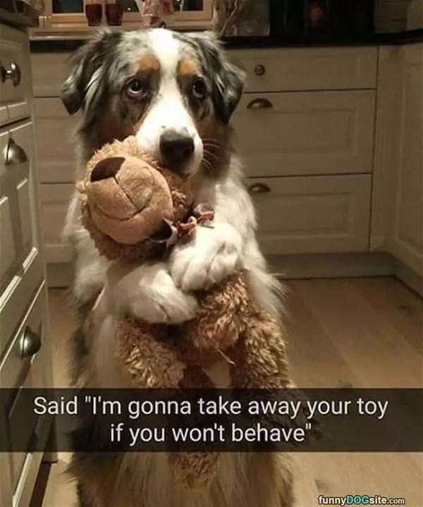 Taking Your Toy Away
