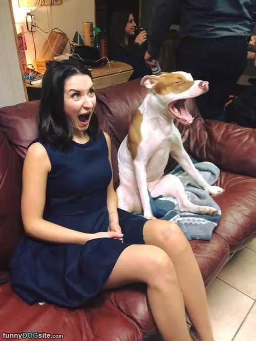 Yawnnnnnn