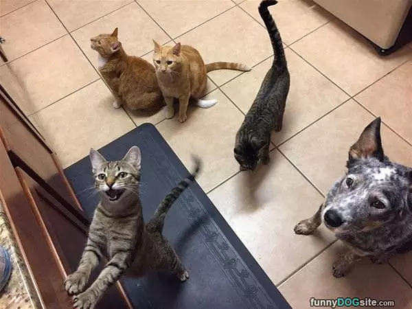 The Crew Is Hungry