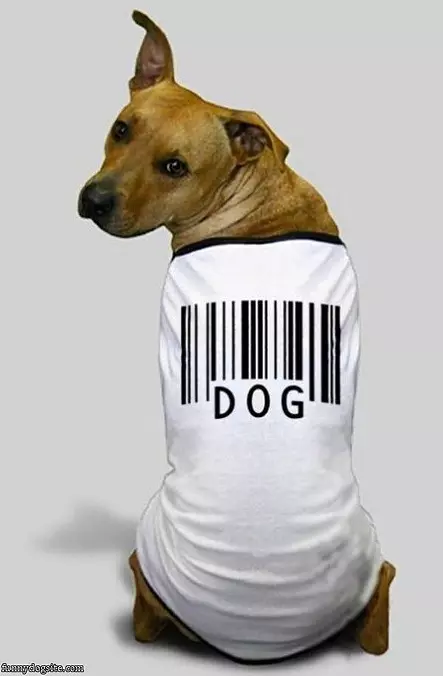 Dog Shirt