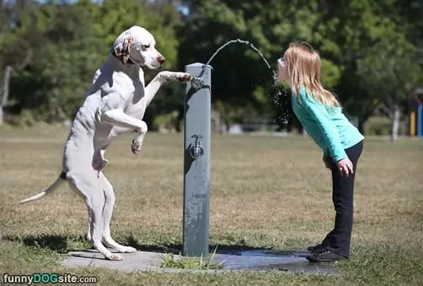 Have Some Water
