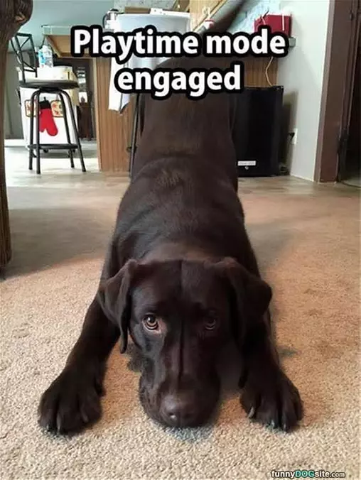 Playtime Mode Engaged