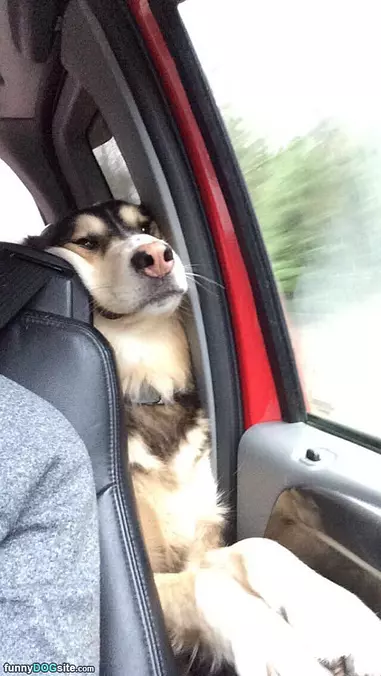 This Is My Seat