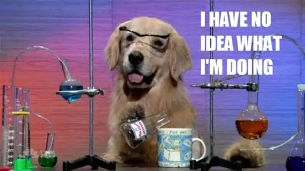 No Idea Dog