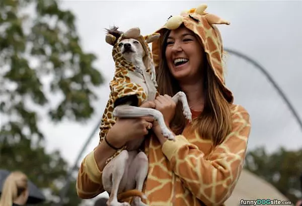 Giraffe Dog