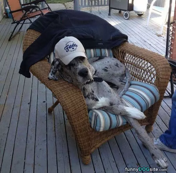 Nice And Relaxed