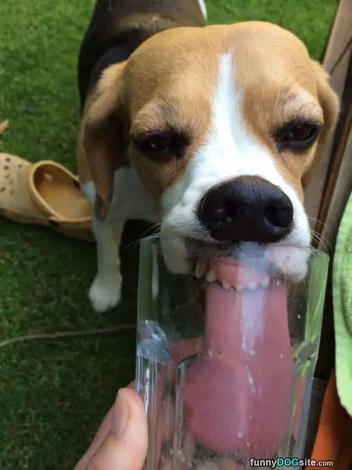 Getting Every Last Drop