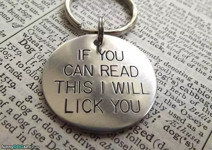 If You Can Read This