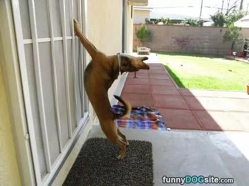 Let Me Innnnnn