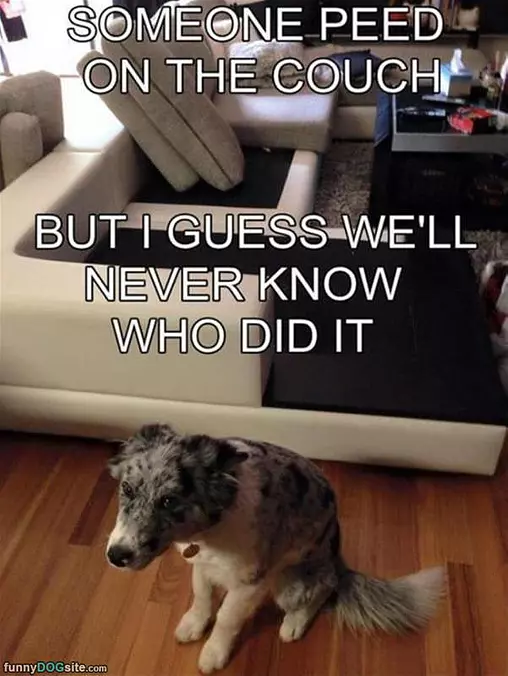 We May Never Know