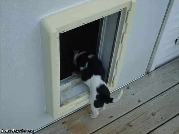 Hello Anyone Home