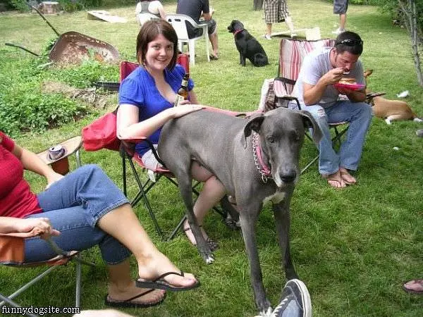 Found A Seat