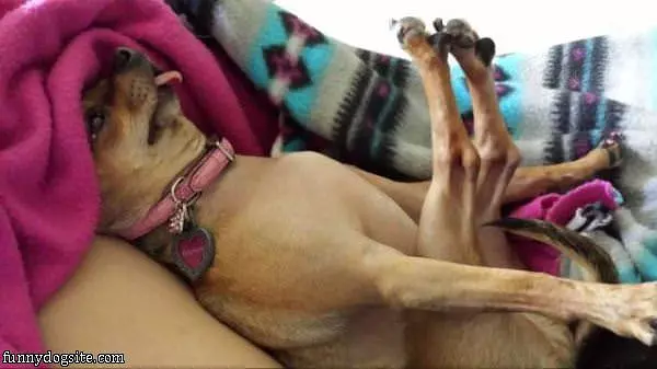 I Sleep Like Dis