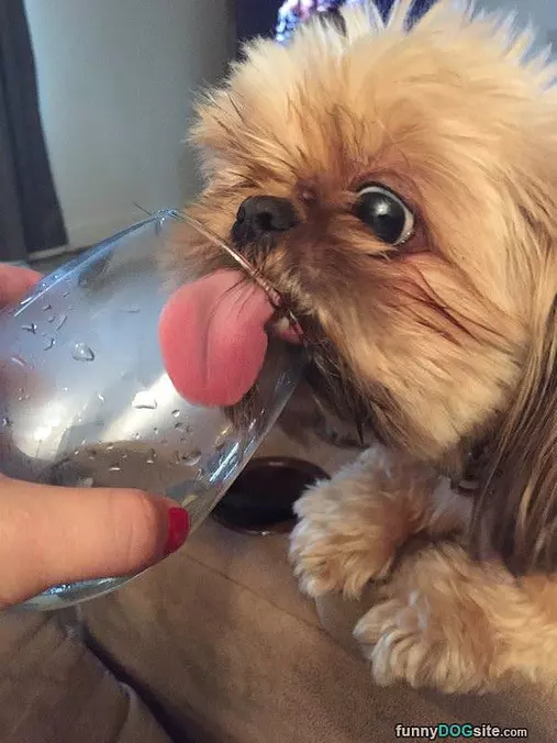 Can You Refill This