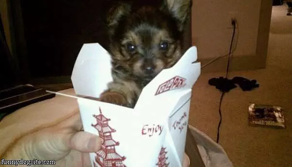 Super Tiny Puppy
