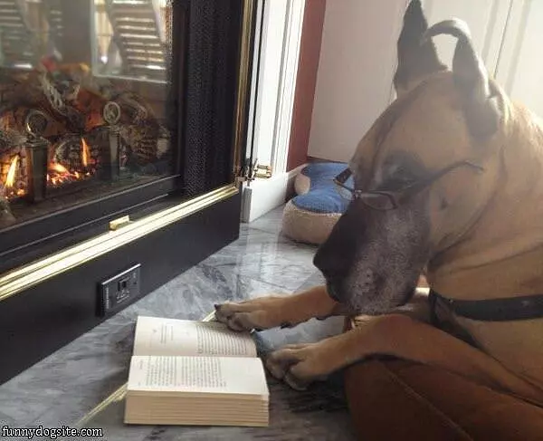 Just Studying