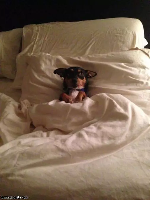 Ready For Bed
