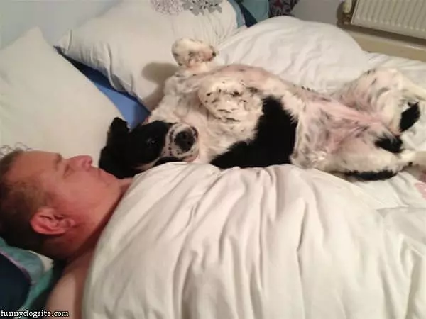 Just Relaxing In Bed