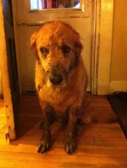 Yes I Love The Mud