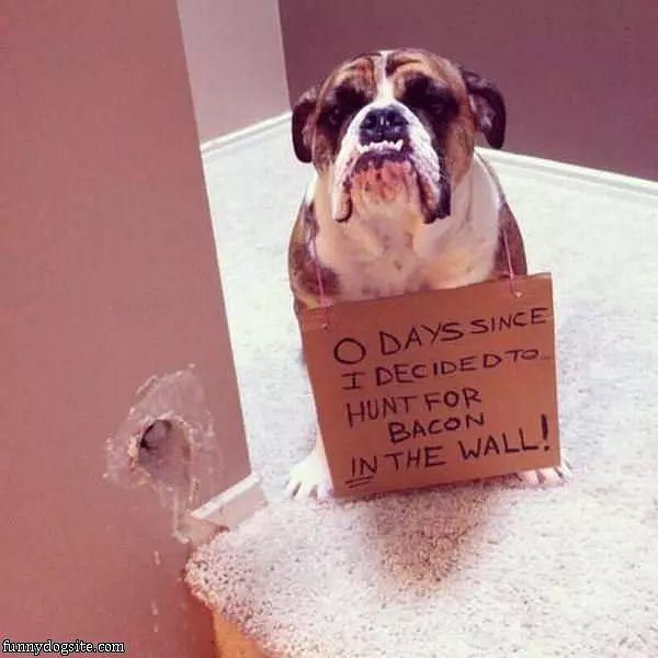0 Days