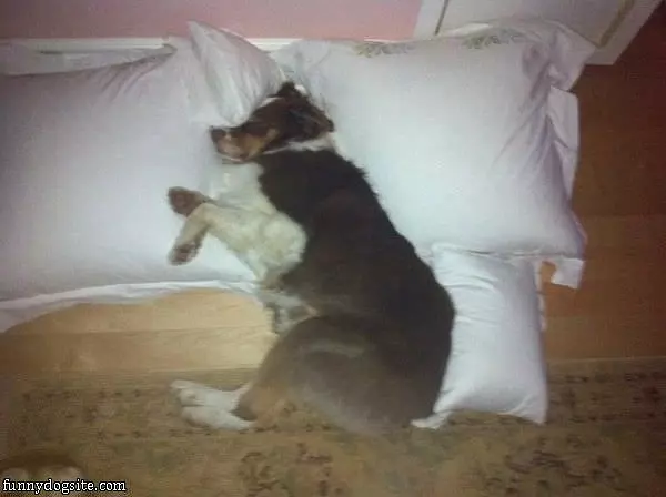 Lots Of Pillows