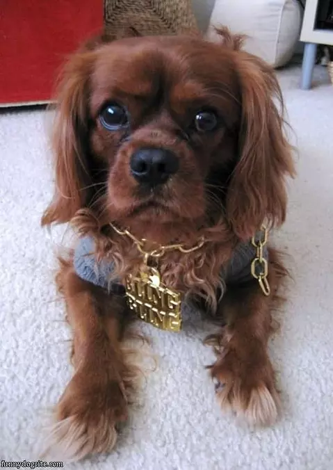 Bling Bling