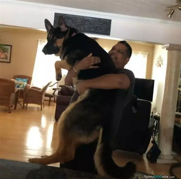 Still A Big Lap Dog