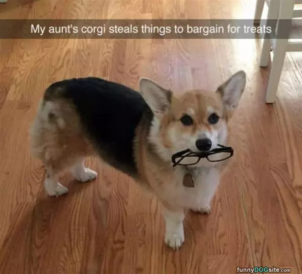 Trading For Treats