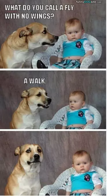 Nice Joke