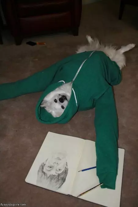 My Green Hoodie
