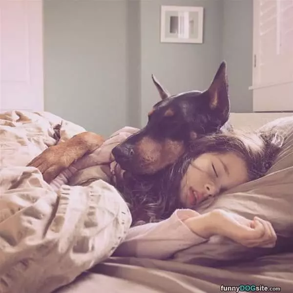 Napping With My Bodyguard