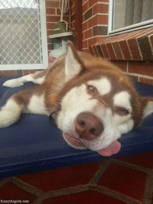 I Am Soooo Poooped