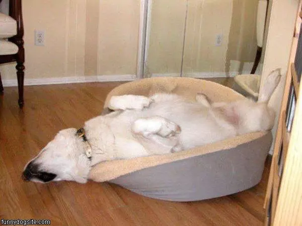Sleeping