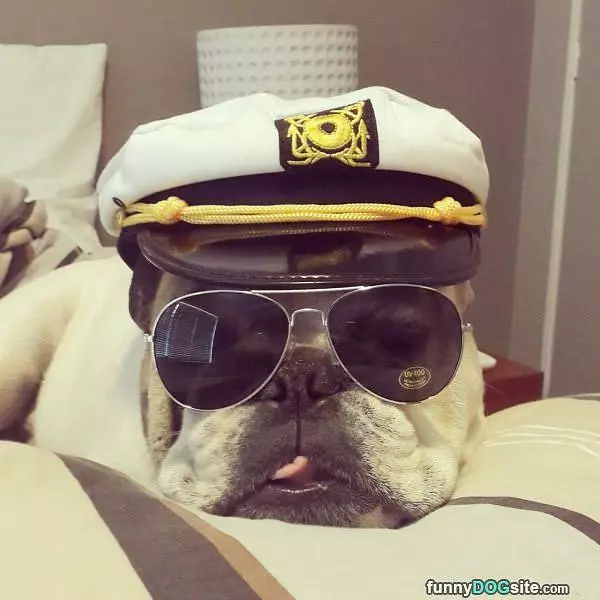 The Captain
