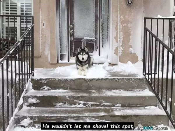 No Shoveling Here