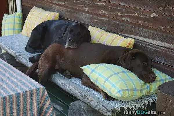 Nap Time Is Best Time
