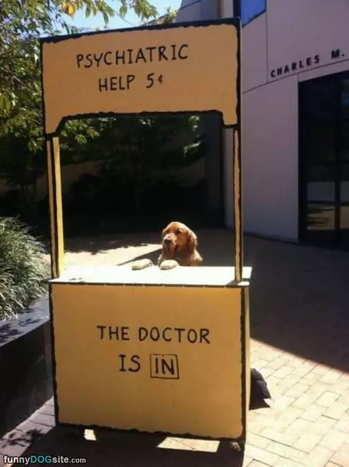 The Doctor Is In