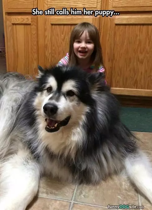 Her Puppy