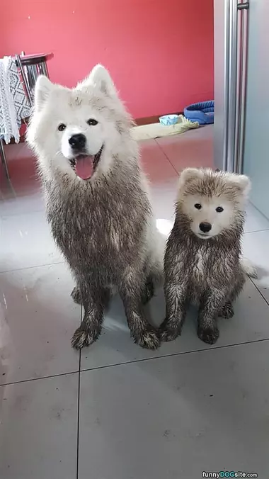 We Made A Little Mess