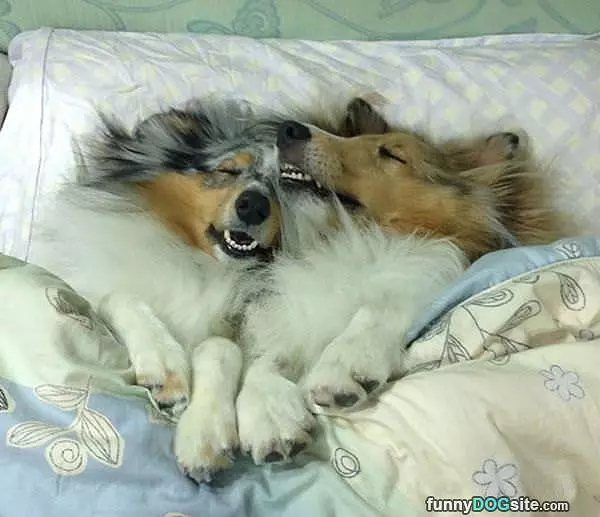 This Is Awesome And Comfy