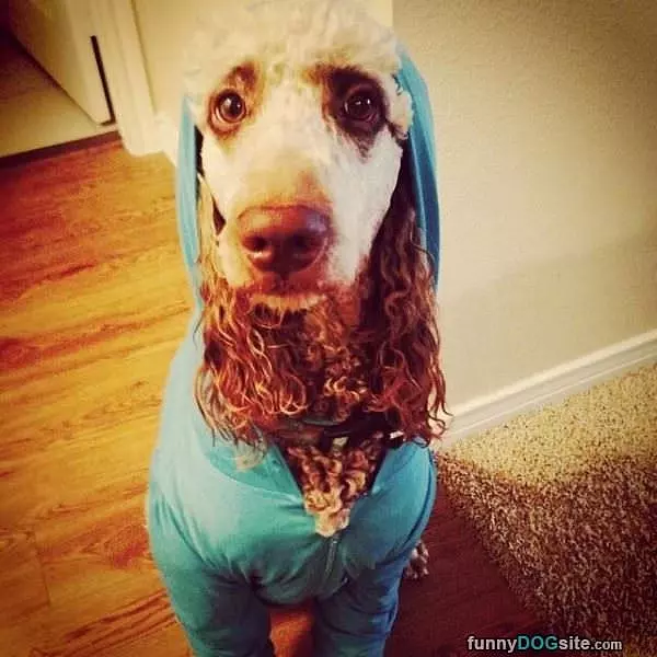 All Dressed Up
