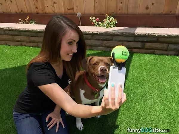 Dog Selfies