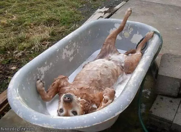 Loves Bath Time