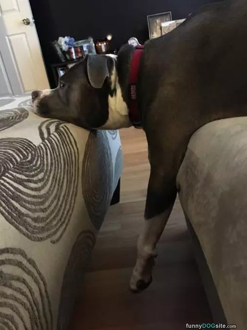 I Am So Relaxed