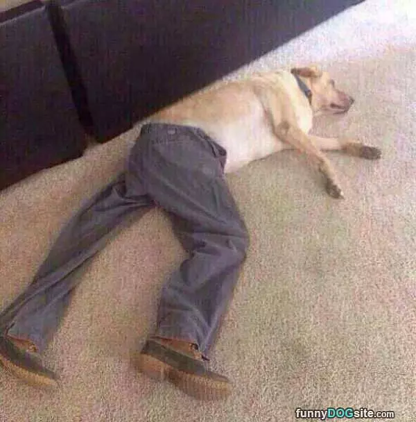All Dressed For Work
