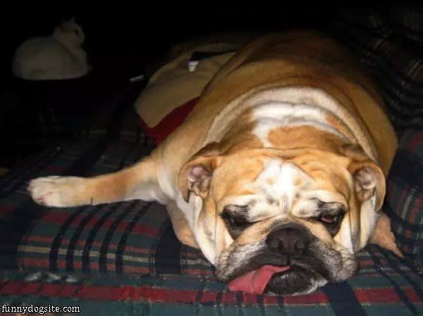 Pooped Out