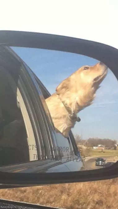 Go Faster Human