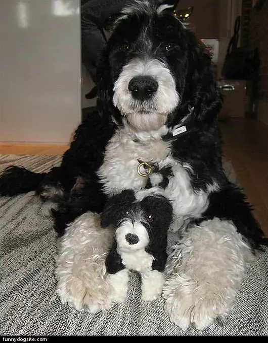 Very Big And Little
